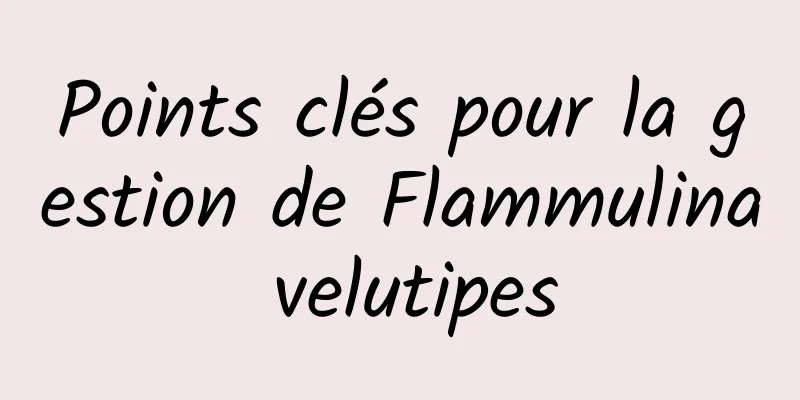 Points clés pour la gestion de Flammulina velutipes