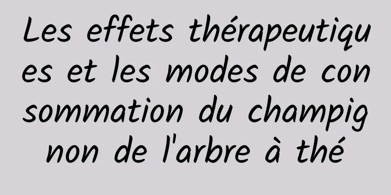 Les effets thérapeutiques et les modes de consommation du champignon de l'arbre à thé