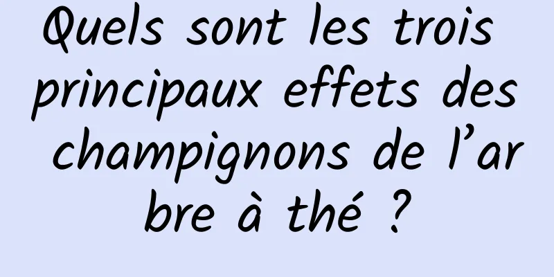 Quels sont les trois principaux effets des champignons de l’arbre à thé ?