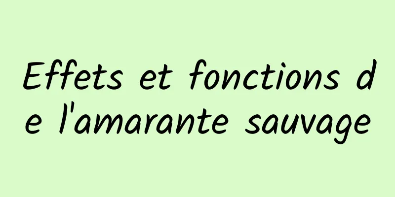 Effets et fonctions de l'amarante sauvage
