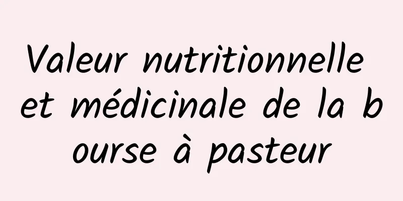 Valeur nutritionnelle et médicinale de la bourse à pasteur
