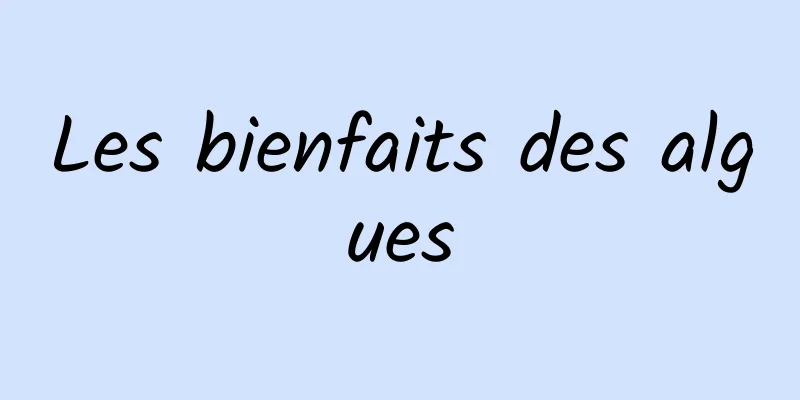 Les bienfaits des algues