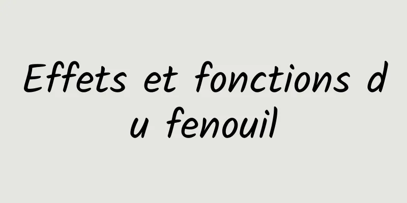 Effets et fonctions du fenouil
