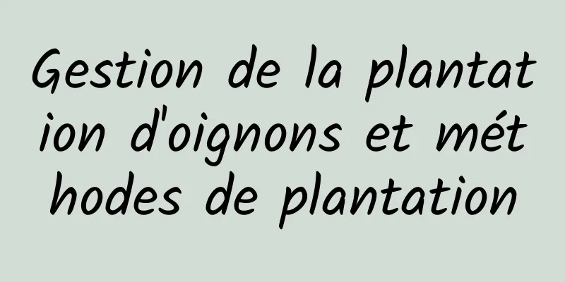 Gestion de la plantation d'oignons et méthodes de plantation
