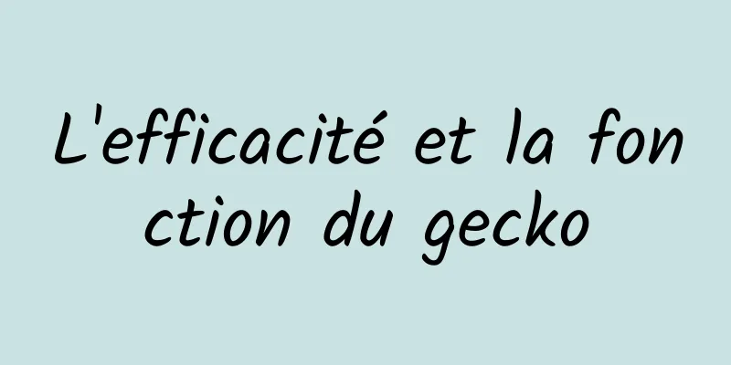 L'efficacité et la fonction du gecko