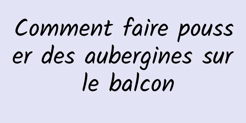 Comment faire pousser des aubergines sur le balcon