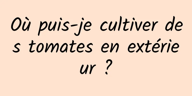 Où puis-je cultiver des tomates en extérieur ?