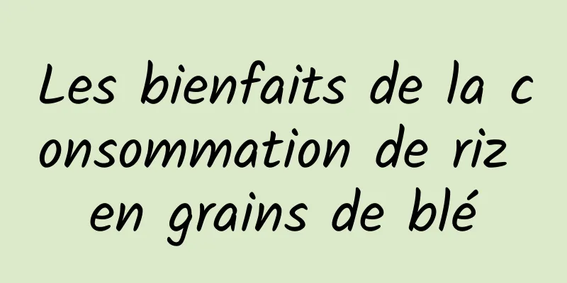 Les bienfaits de la consommation de riz en grains de blé