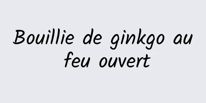 Bouillie de ginkgo au feu ouvert