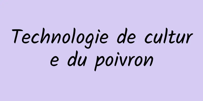 Technologie de culture du poivron