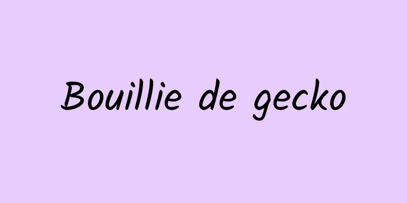 Bouillie de gecko