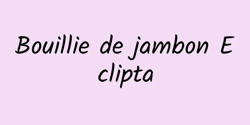 Bouillie de jambon Eclipta