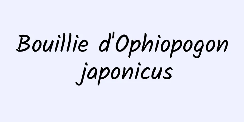 Bouillie d'Ophiopogon japonicus