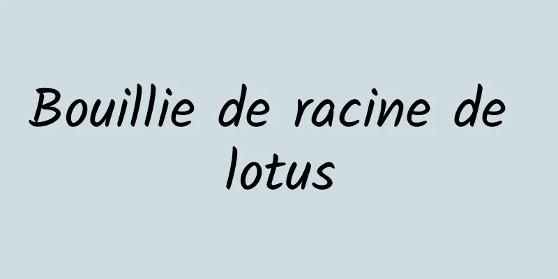 Bouillie de racine de lotus