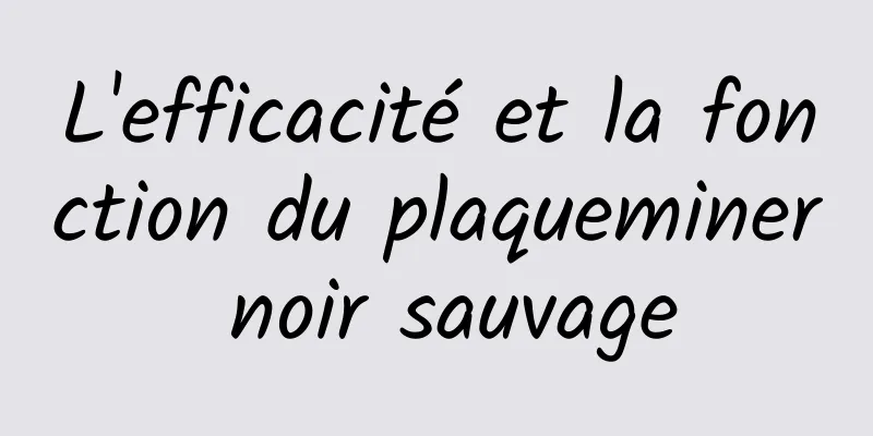 L'efficacité et la fonction du plaqueminer noir sauvage