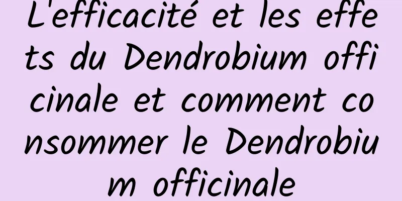 L'efficacité et les effets du Dendrobium officinale et comment consommer le Dendrobium officinale