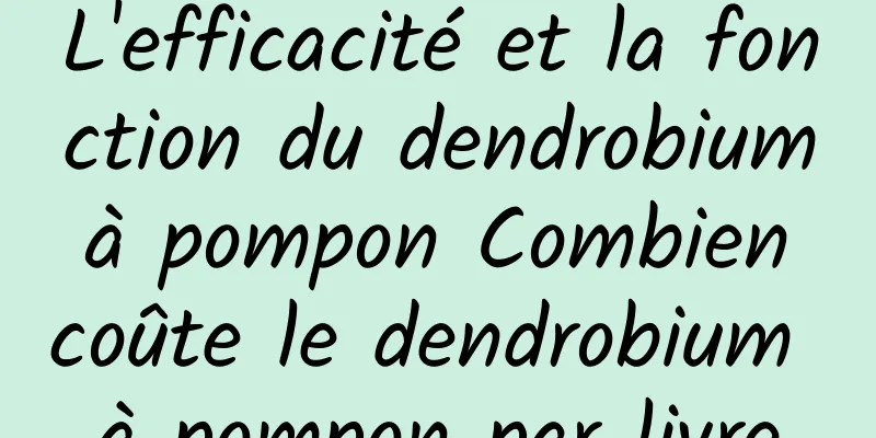 L'efficacité et la fonction du dendrobium à pompon Combien coûte le dendrobium à pompon par livre
