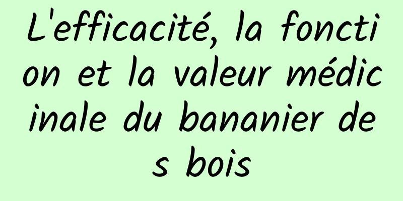 L'efficacité, la fonction et la valeur médicinale du bananier des bois