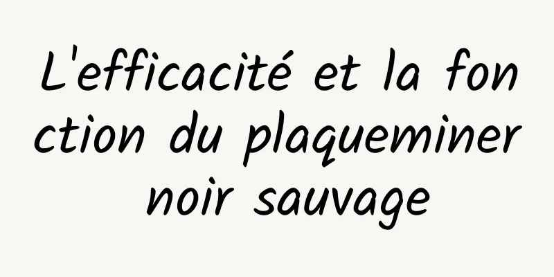 L'efficacité et la fonction du plaqueminer noir sauvage