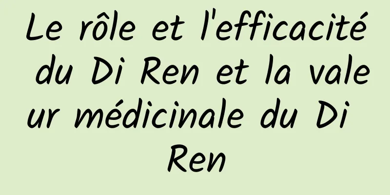 Le rôle et l'efficacité du Di Ren et la valeur médicinale du Di Ren