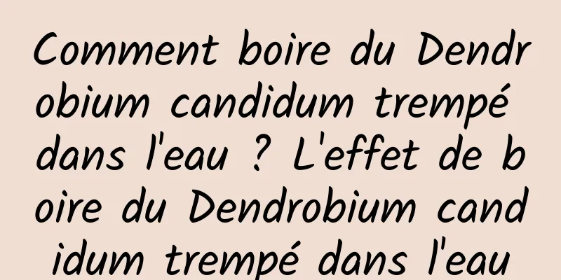 Comment boire du Dendrobium candidum trempé dans l'eau ? L'effet de boire du Dendrobium candidum trempé dans l'eau