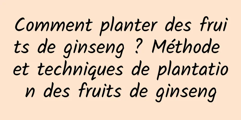 Comment planter des fruits de ginseng ? Méthode et techniques de plantation des fruits de ginseng