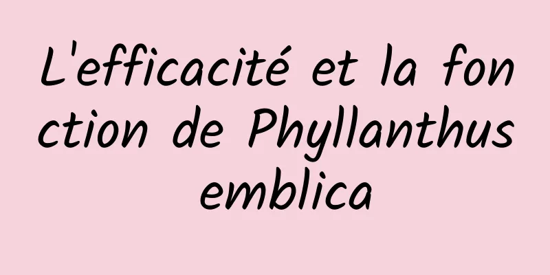 L'efficacité et la fonction de Phyllanthus emblica