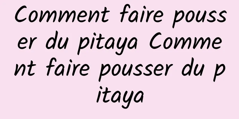 Comment faire pousser du pitaya Comment faire pousser du pitaya