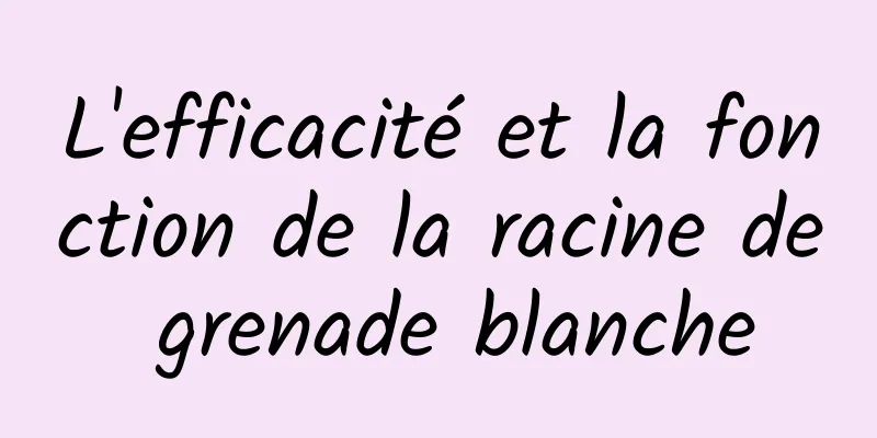 L'efficacité et la fonction de la racine de grenade blanche