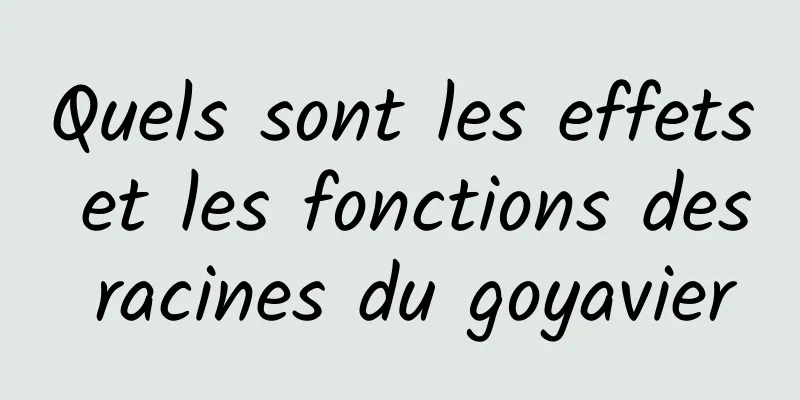 Quels sont les effets et les fonctions des racines du goyavier