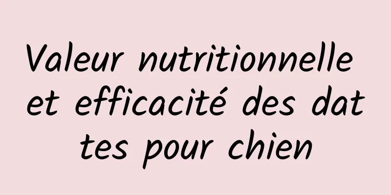 Valeur nutritionnelle et efficacité des dattes pour chien