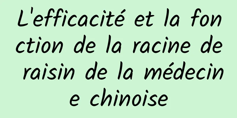 L'efficacité et la fonction de la racine de raisin de la médecine chinoise