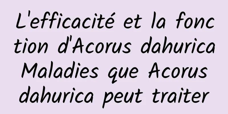 L'efficacité et la fonction d'Acorus dahurica Maladies que Acorus dahurica peut traiter