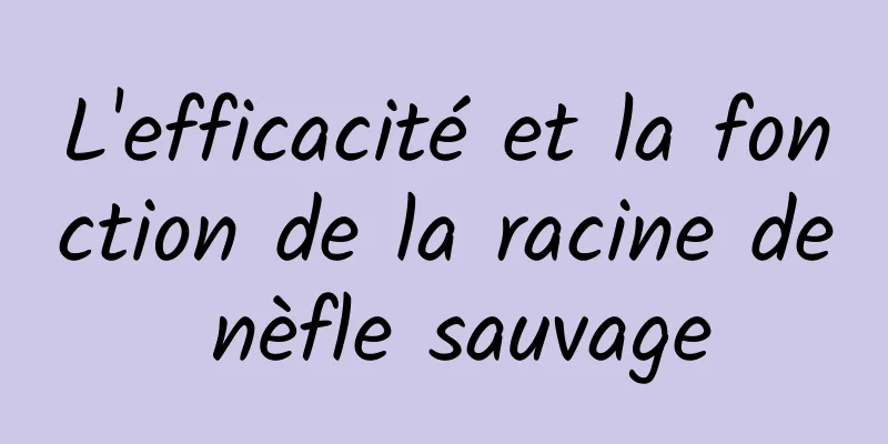 L'efficacité et la fonction de la racine de nèfle sauvage