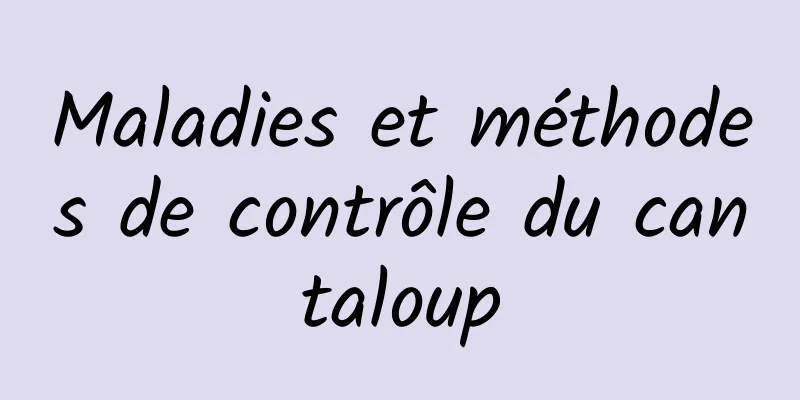 Maladies et méthodes de contrôle du cantaloup