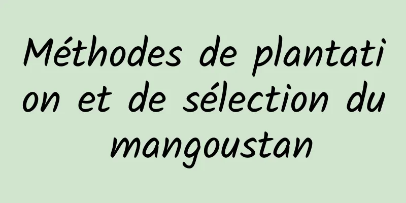 Méthodes de plantation et de sélection du mangoustan