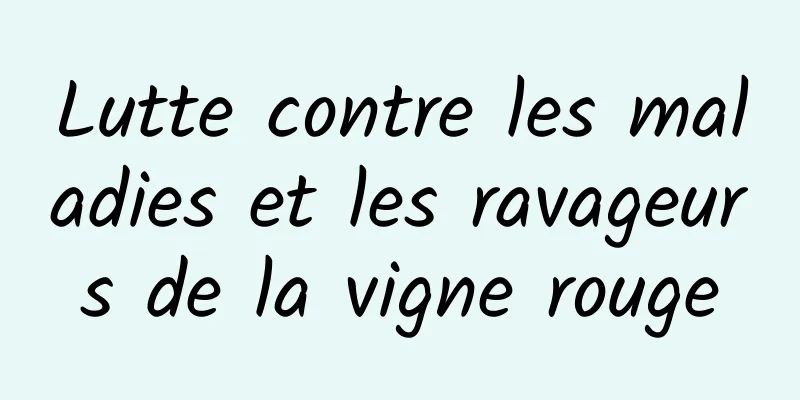 Lutte contre les maladies et les ravageurs de la vigne rouge