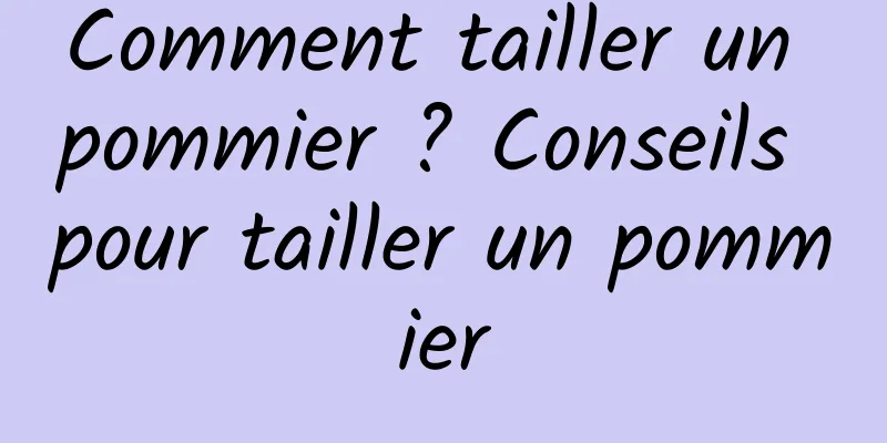 Comment tailler un pommier ? Conseils pour tailler un pommier