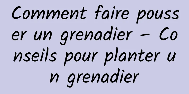 Comment faire pousser un grenadier – Conseils pour planter un grenadier