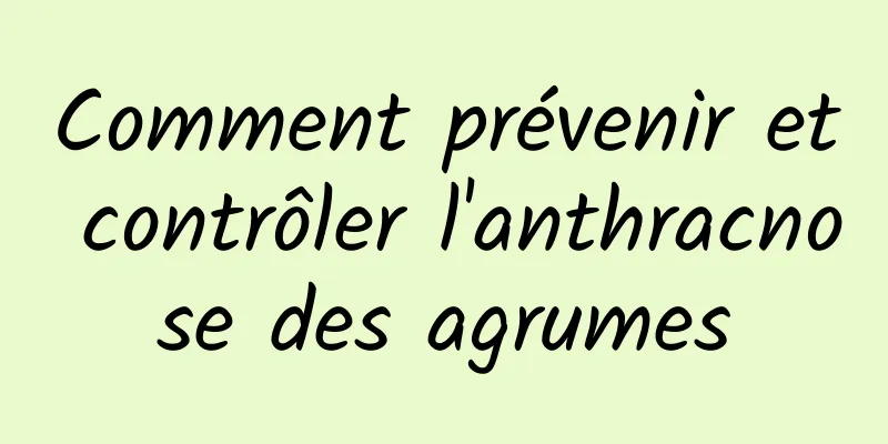 Comment prévenir et contrôler l'anthracnose des agrumes
