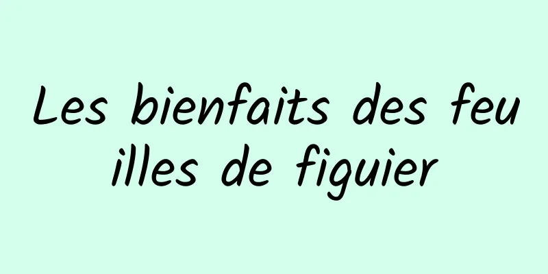 Les bienfaits des feuilles de figuier