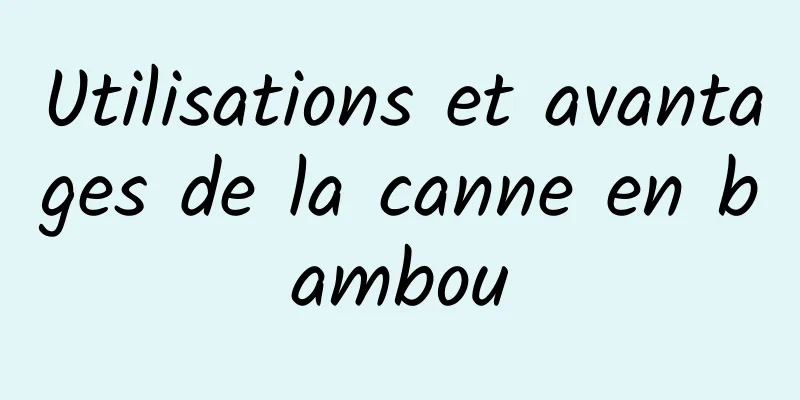 Utilisations et avantages de la canne en bambou