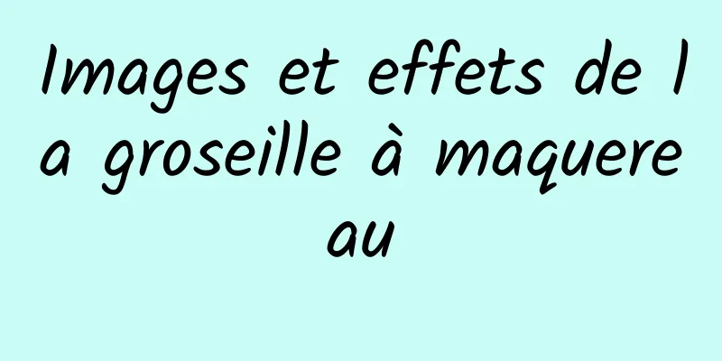 Images et effets de la groseille à maquereau