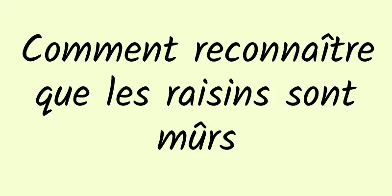 Comment reconnaître que les raisins sont mûrs