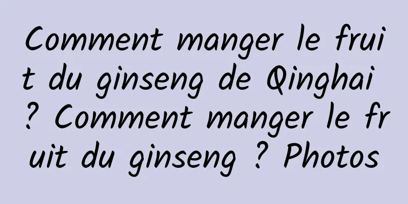 Comment manger le fruit du ginseng de Qinghai ? Comment manger le fruit du ginseng ? Photos