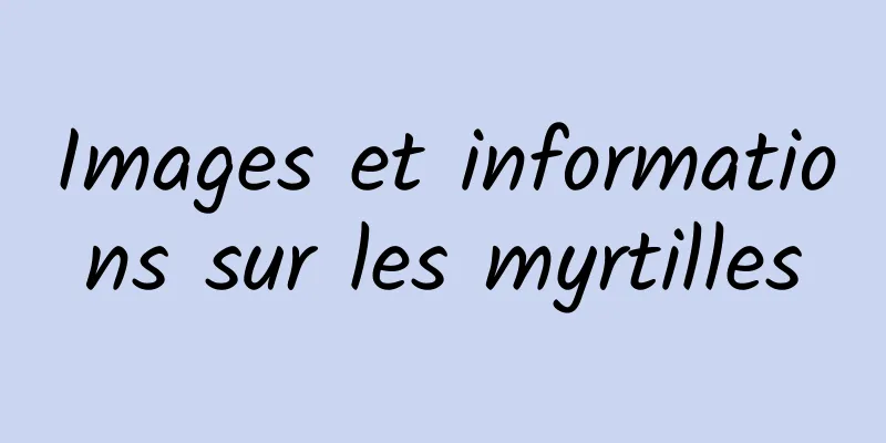 Images et informations sur les myrtilles