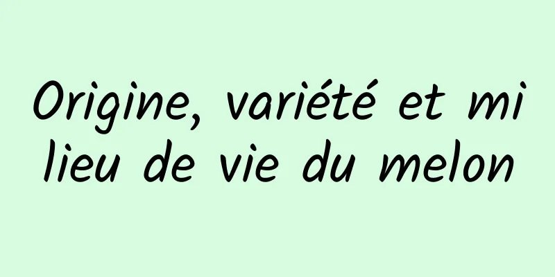 Origine, variété et milieu de vie du melon