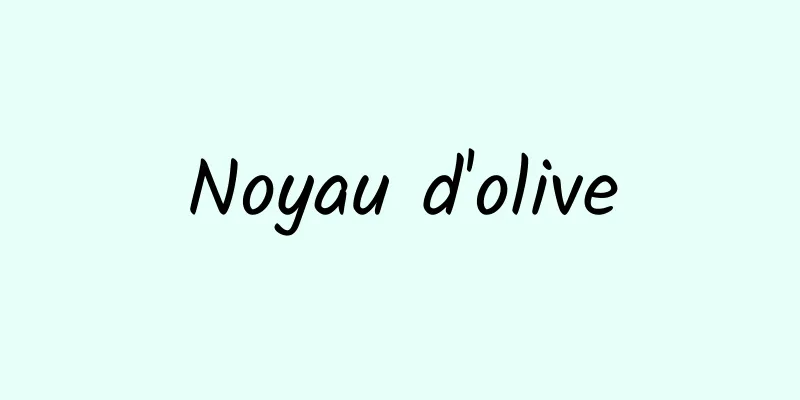 Noyau d'olive