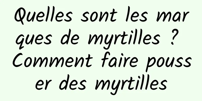 Quelles sont les marques de myrtilles ? Comment faire pousser des myrtilles