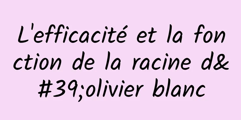 L'efficacité et la fonction de la racine d'olivier blanc